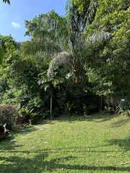 Clementi Green (D21), Semi-Detached #588261391
